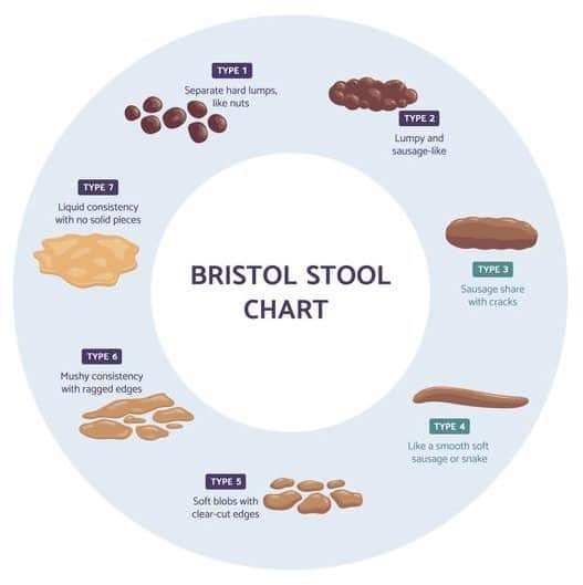 Assessing Stool Quality Handout - Happy Belly Health