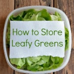 blog-01-how-to-store-leafy-greens