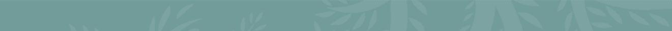 divider_image divider_image